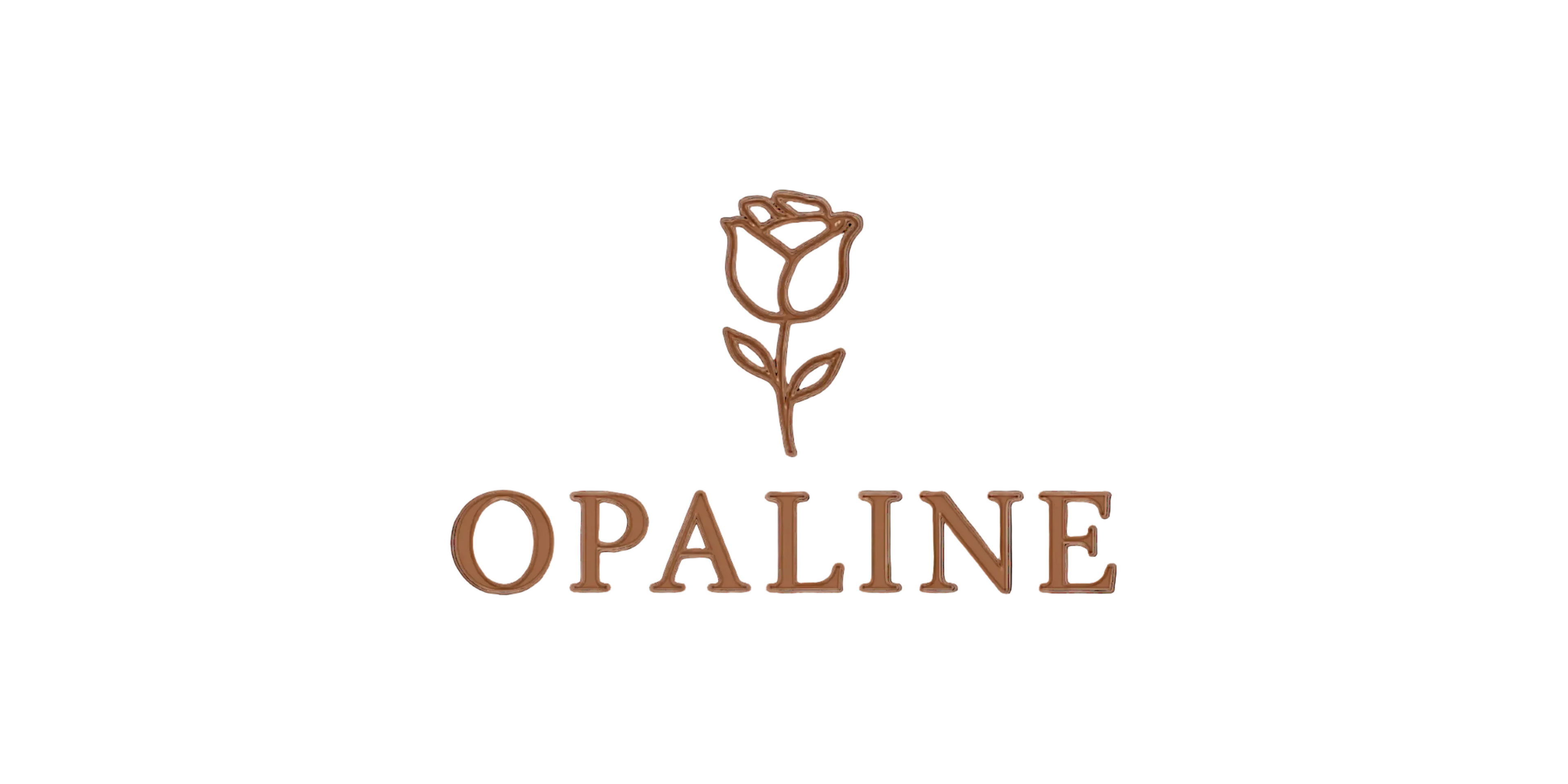 Secret Drawer Society